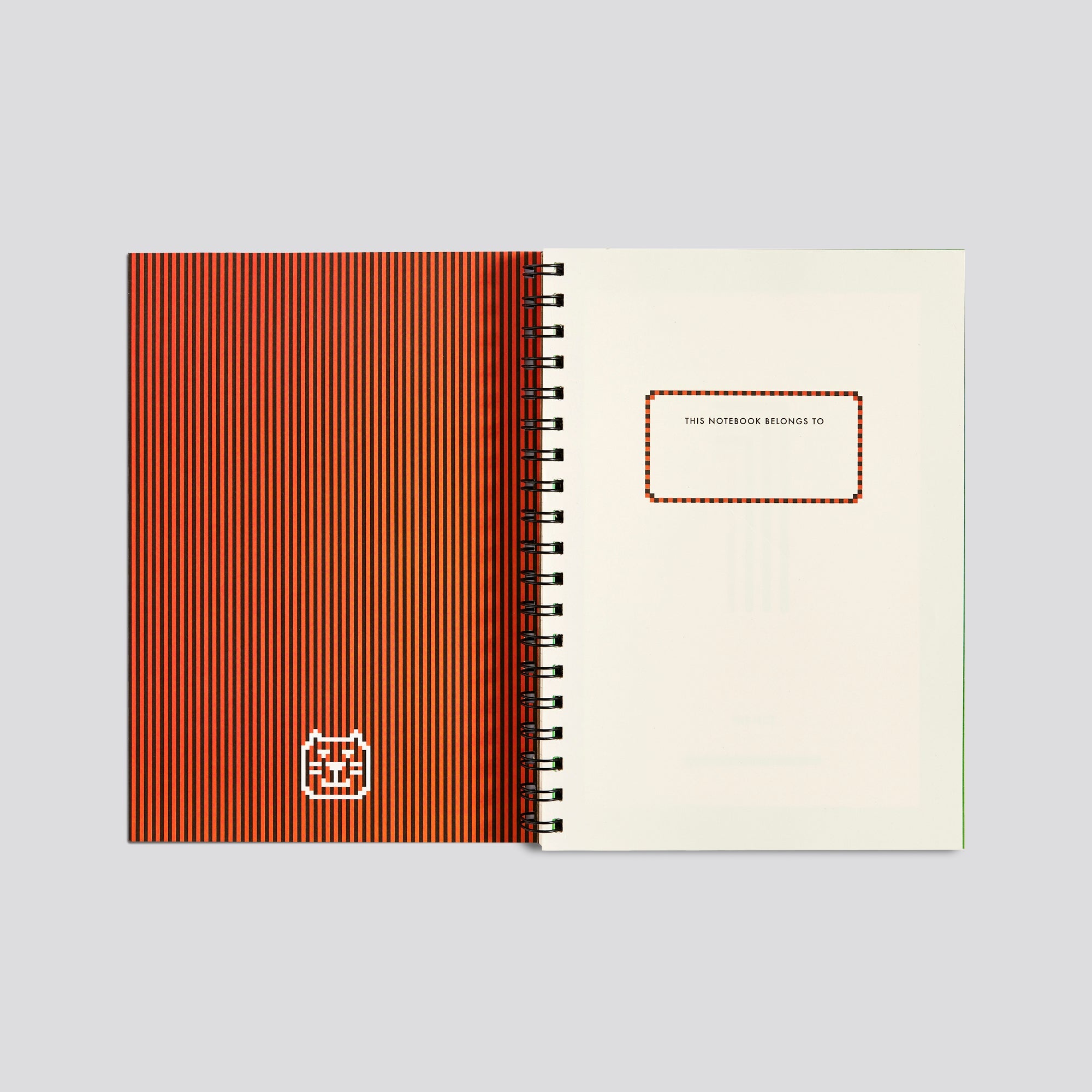 Small Book Big Plans