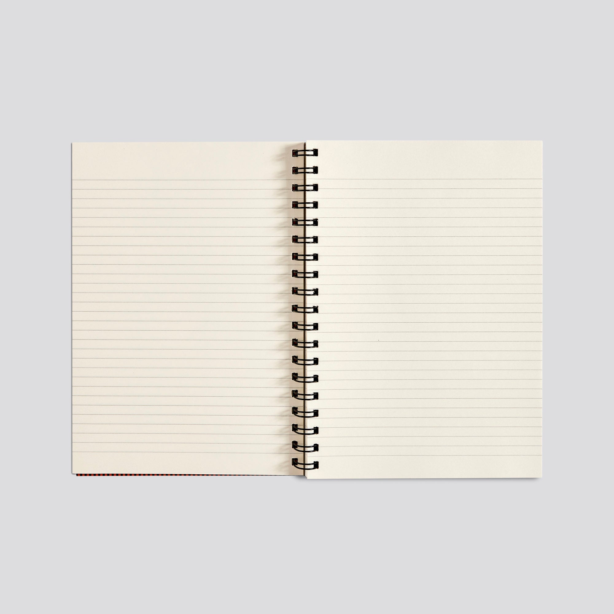 Small Book Big Plans